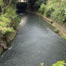 112年葫蘆墩圳300年大甲溪水域流域-東汴走讀
