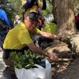 113年后豐社大公益活動-豐原區東陽里萬里長城杜鵑花道