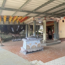 113年在地連結-走讀活動-邊走邊讀，醍醐灌頂的收穫