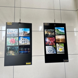 113年后豐社大藝文活動-手機攝影達人-美麗在豐原