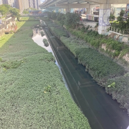 113年參訪觀摩交流與連結-板橋地方知識學