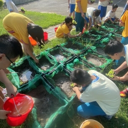 113年后豐社大與后里國小-種植蔬菜、介紹費洛蒙