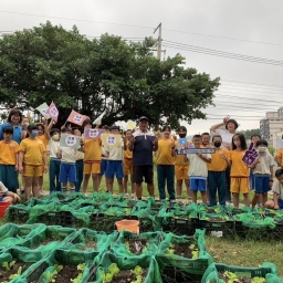 113年后豐社大與后里國小-觀察費洛蒙，害蟲量增加