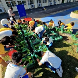 113年后豐社大與后里國小-作物生長觀察
