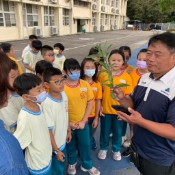 113年后豐社大與后里國小-蟲害觀察(茶皂素&光合菌)