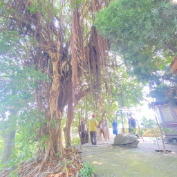 114年后豐社大與社區GIS連結-我們都是水孩子，向孕育我們的水圳致敬